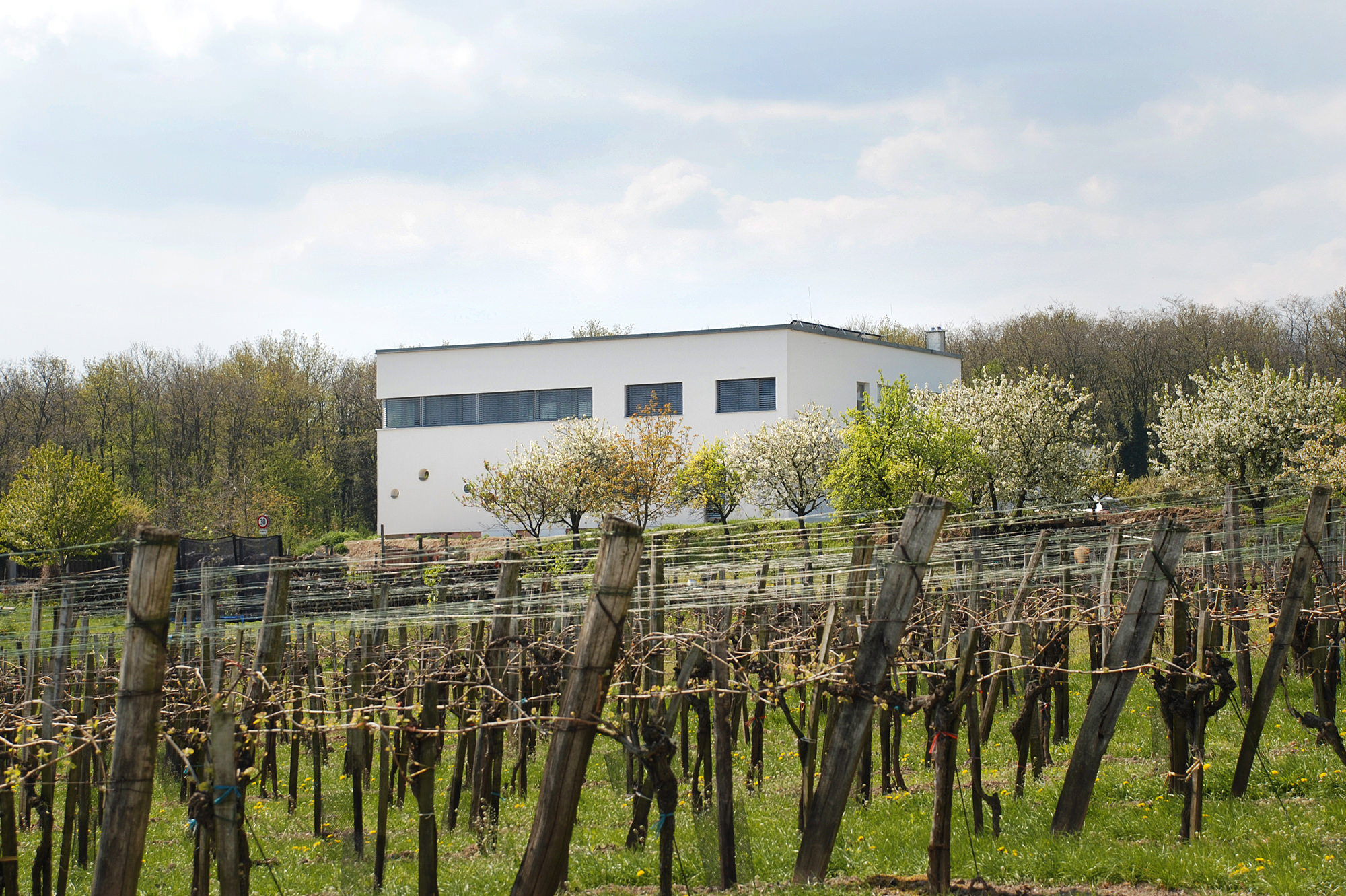 haus_KU_01_hofhaus_in_moerbisch_burgenland_junger_beer_architektur